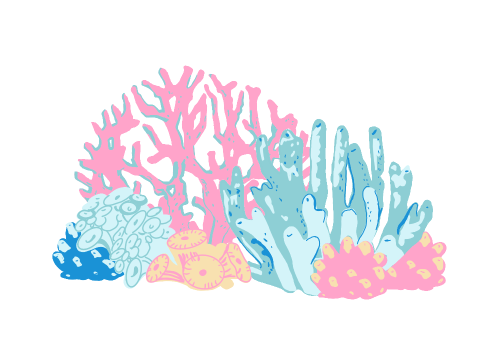 coral illustration